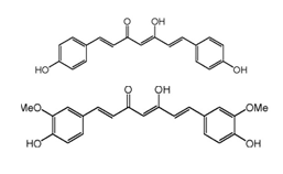 Molécules de curcuminoïdes