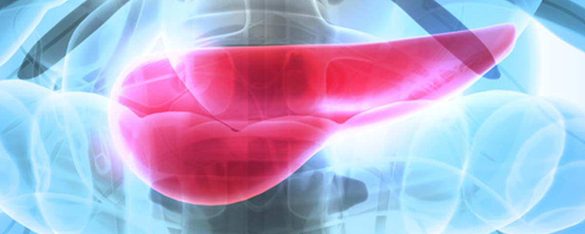 pancreas Mesure du niveau de glycemie